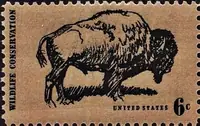 bison