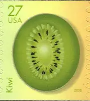 Tropical Fruit CL 100 - Kiwi