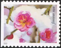 Flowers - Snow beauty