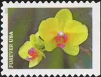 Garden beauty