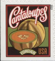 Summer Harvest - Cantaloupes