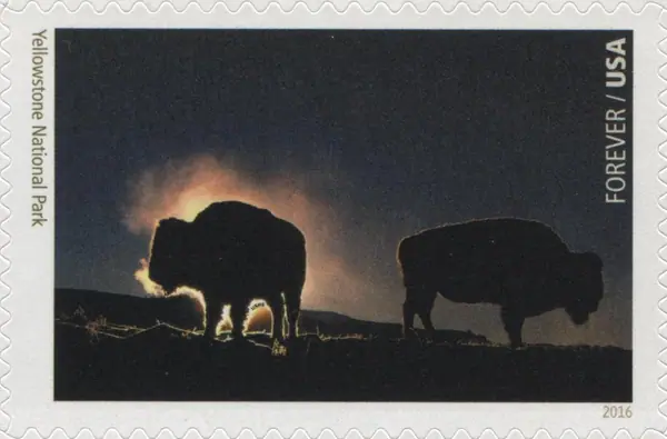 National Parks - Yellowstone National Park