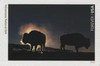 National Parks - Yellowstone National Park