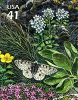 Nature of North America - Alpine Tundra - Rocky Mountain Parnassian Butterfly & Mountain Candytuft