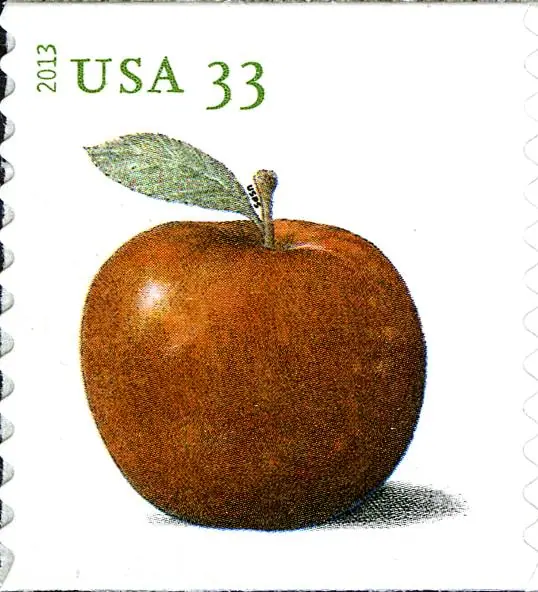 Apples PSA Coil
