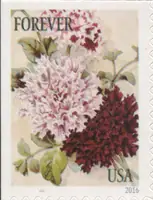 Botanical Art