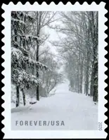 Winter scenes - Tree lane