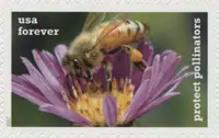 Protect Pollinators