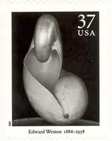 Masters of American Photography - Weston (1886-1958)