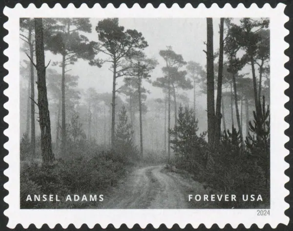 Ansel Adams
