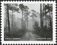 Ansel Adams