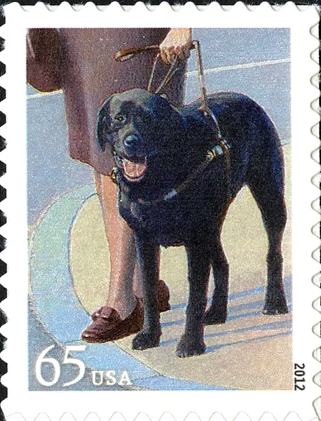 seeing-eye dog