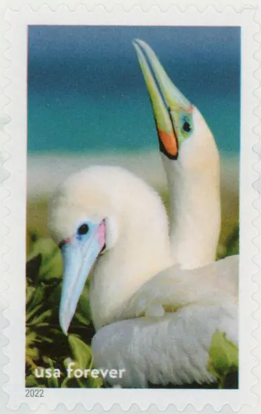 National Marine Sanctuaries
