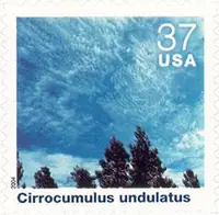 Cloudscapes - Cirrocumulus undulatus