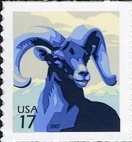 Big Horn Sheep CL100