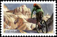 Enjoy the great outdoors - Biking
