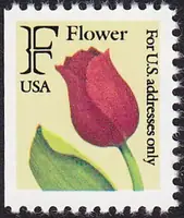 flower, p. 11bk