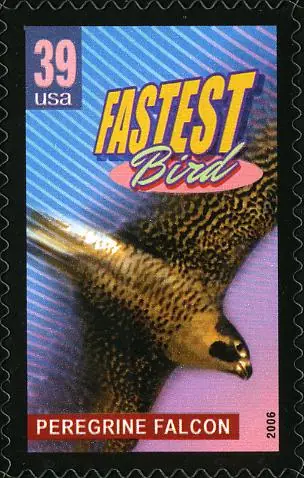 Wonders of America - Land of Superlatives - Fastest Bird - Peregrine Falcon