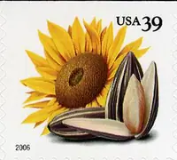Crops of the Americas - Sunflowers