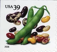 Crops of the Americas - Beans