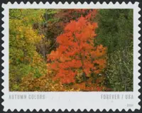 Autumn Colors