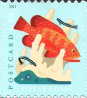 Coral Reefs