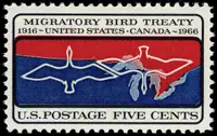 Migratory Birds over Canada-US Border