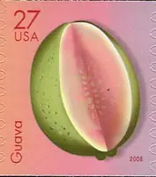 Tropical Fruit CL 100 - Guava