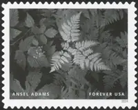Ansel Adams