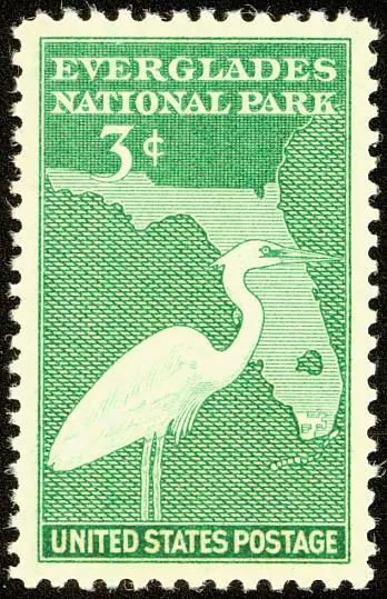 heron & map of Florida
