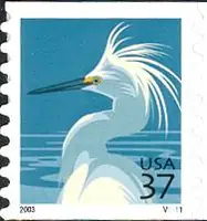 Snowy Egret