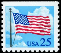 flag in sky