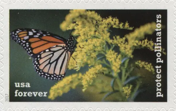 Protect Pollinators
