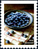 Fruits and vegetables - Blueberries