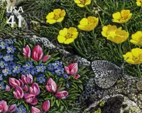 Nature of North America - Alpine Tundra - Dwarf Clover & Melissa Arctic Butterfly