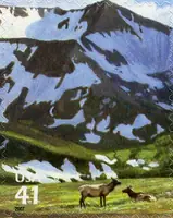 Nature of North America - Alpine Tundra - Elk (Wapiti)