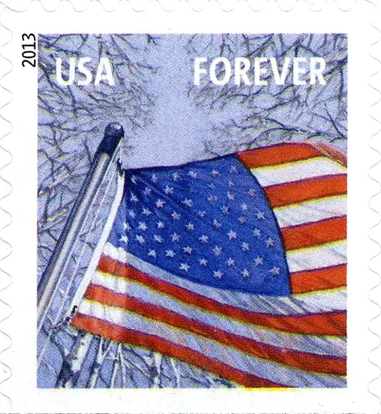 Flag Winter