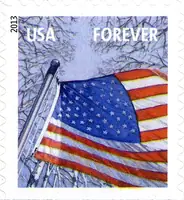 Flag Winter