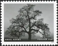 Ansel Adams