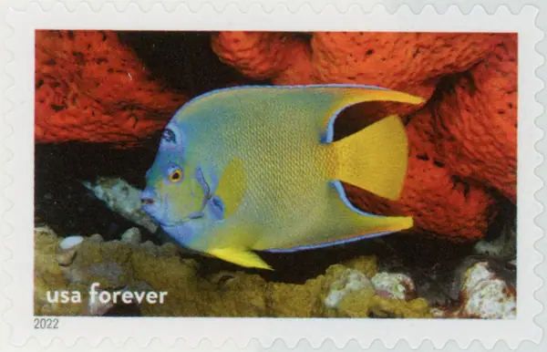 National Marine Sanctuaries