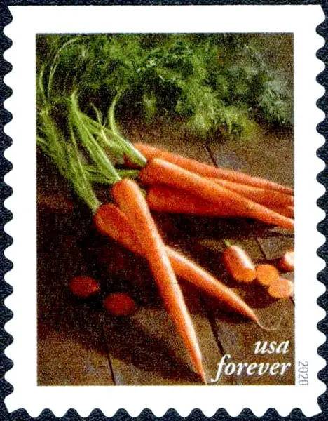 Fruits and vegetables - Carrots