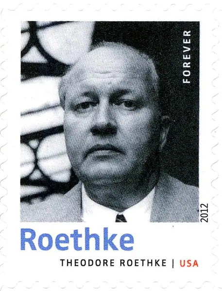 20th Century Poets - Theodore Roethke