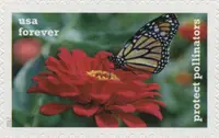 Protect Pollinators