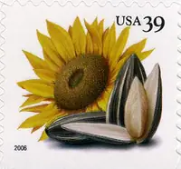 Crops of the Americas - Sunflowers