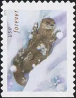 Otters in snow