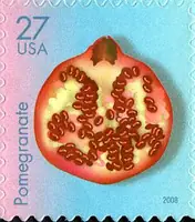 Tropical Fruit - Pomegranate