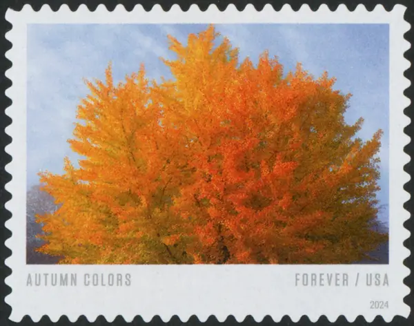 Autumn Colors