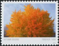 Autumn Colors