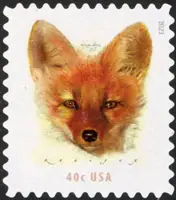 Red Fox