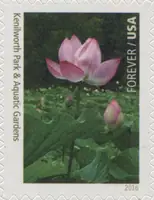 National Parks - Kenilworth Park & Aquatic Gardens
